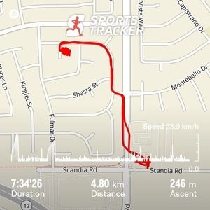 Meet your Posher, Patrick